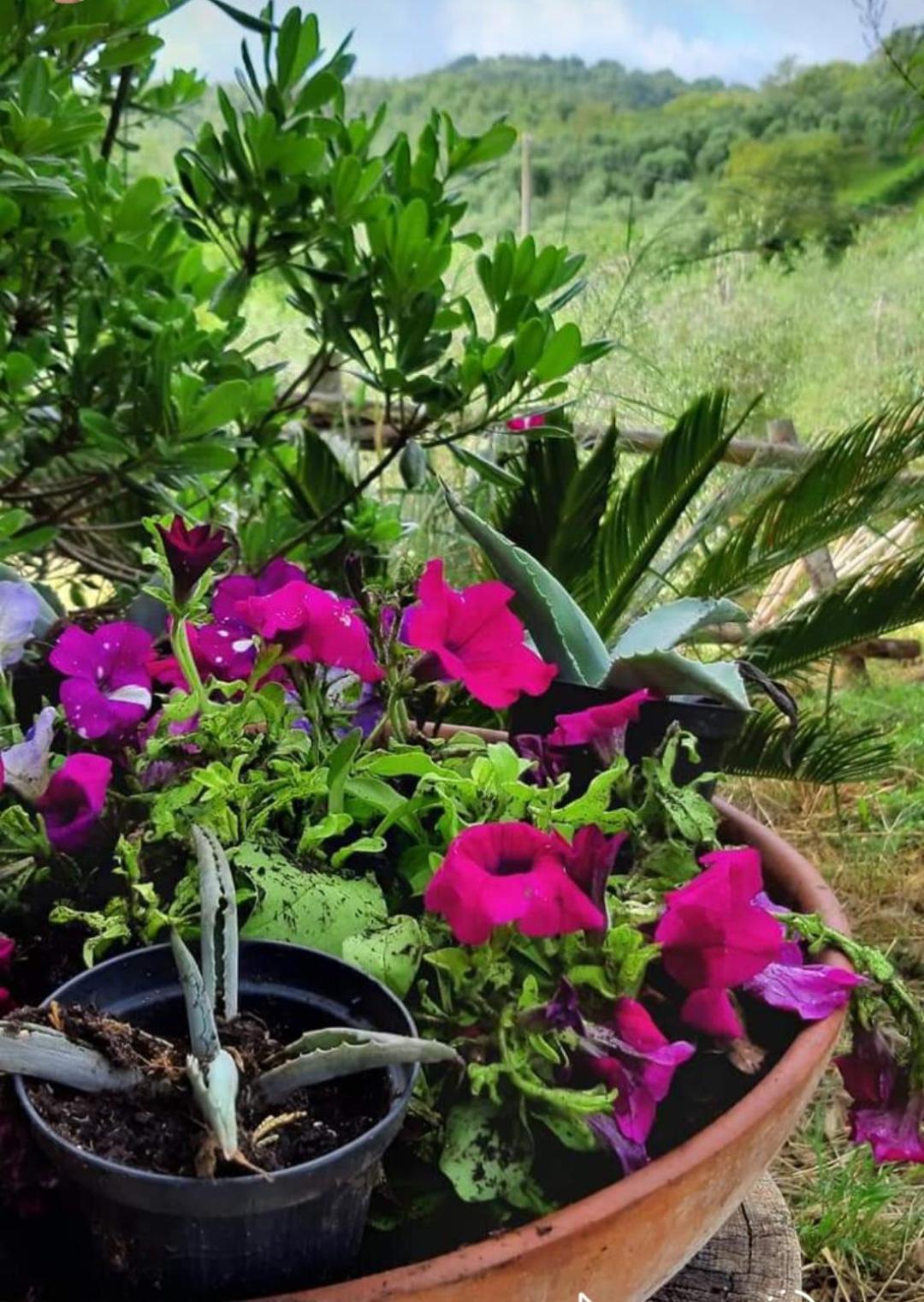 דירות מונטמראנו Casa In Maremma מראה חיצוני תמונה