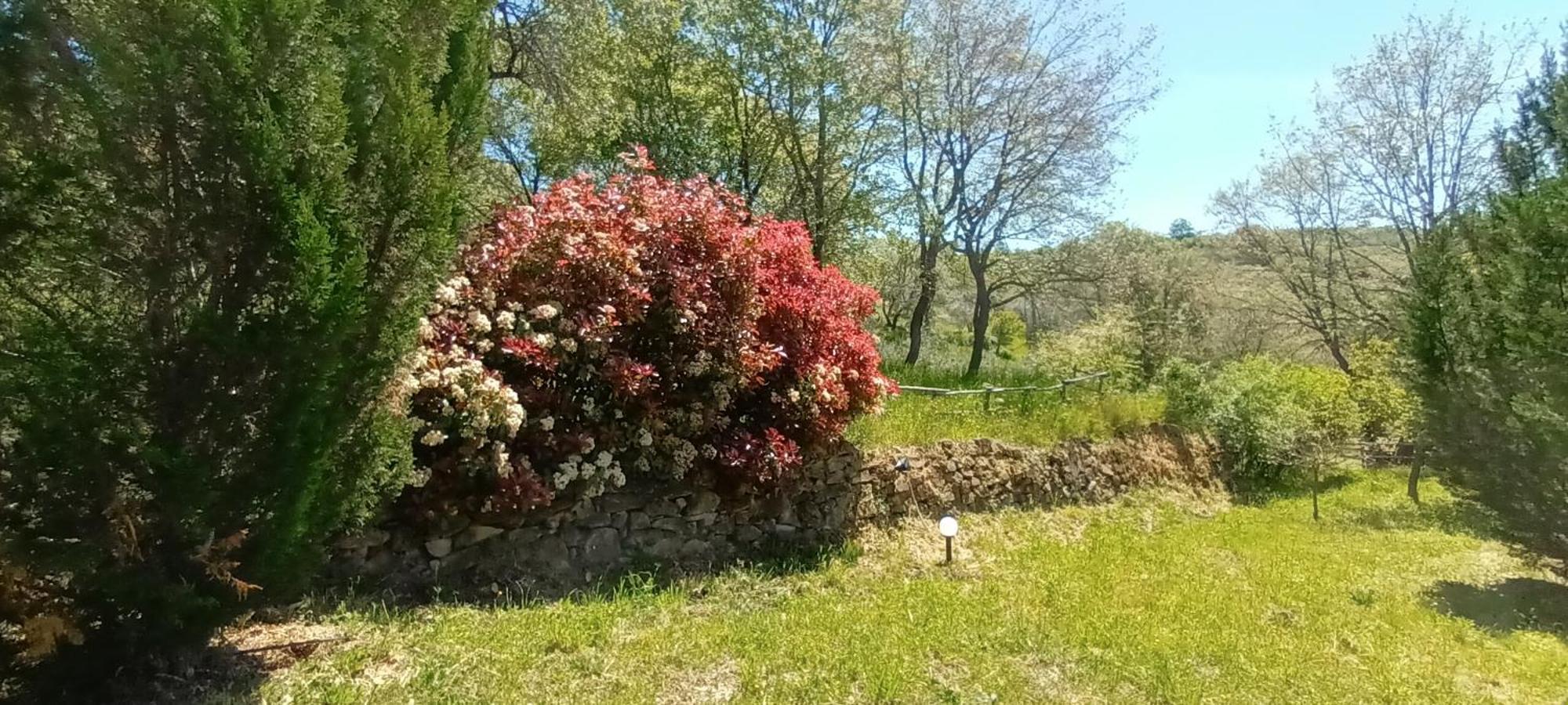 דירות מונטמראנו Casa In Maremma מראה חיצוני תמונה