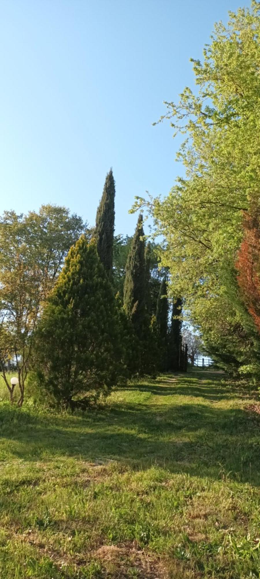 דירות מונטמראנו Casa In Maremma מראה חיצוני תמונה