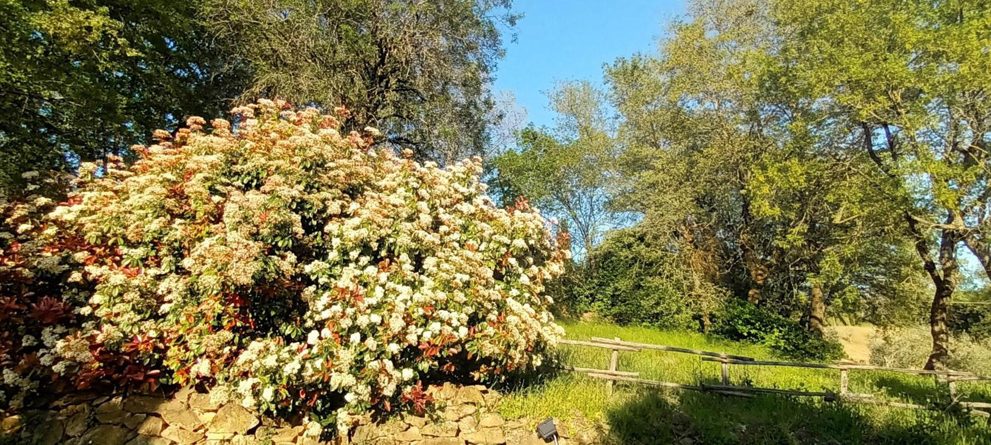 דירות מונטמראנו Casa In Maremma מראה חיצוני תמונה