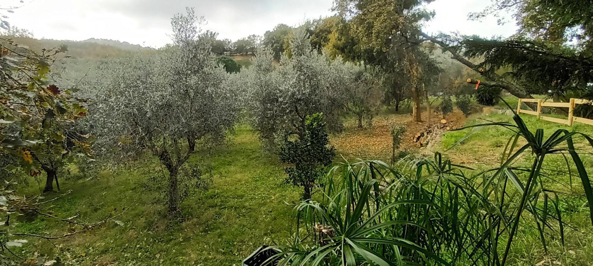 דירות מונטמראנו Casa In Maremma מראה חיצוני תמונה